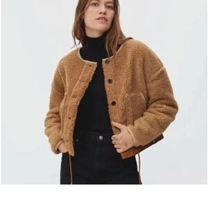 Everlane Sherpa Fleece Bomber Jacket Brown Size Small